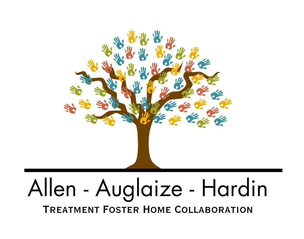Treatment Foster Care Collaboration